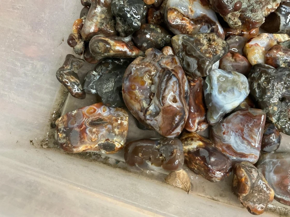 Fire Agate Rough products for sale | eBay