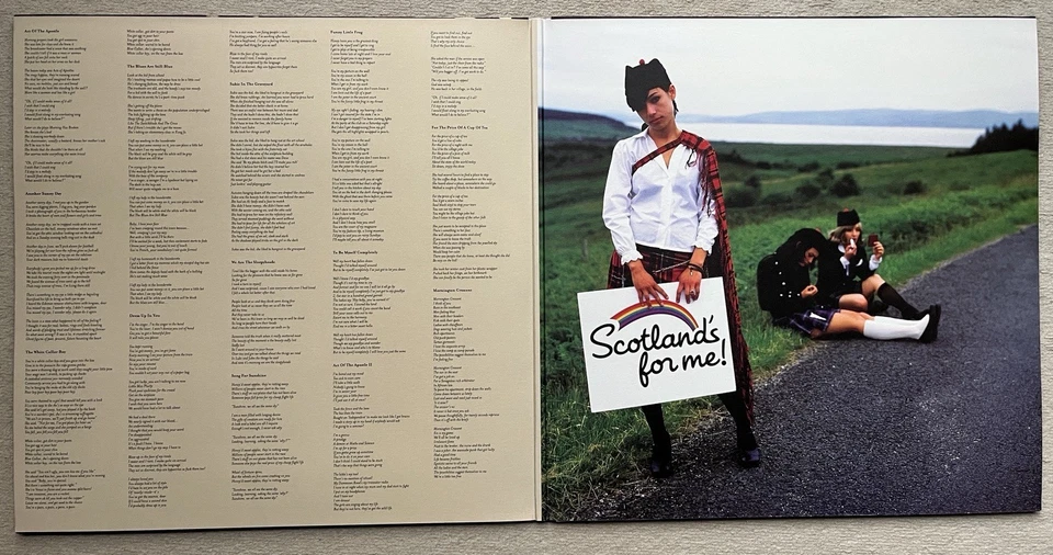 Belle and Sebastian - The Life Pursuit, 2LP Gatefold Vinyl 2014 - Bild 3 von 3