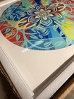 Shepard Fairey and Damien Hirst Beautiful Flower Diamond Spin Print 2025 Framed — photo 2