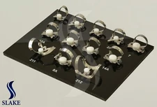 Endodontic Rubber Dam Clamps Set Endodontic 12 Pcs With Tray Dental Instruments