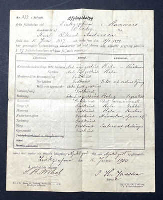1894 Orebro Sweden 7 Year Old Child School Progress Report