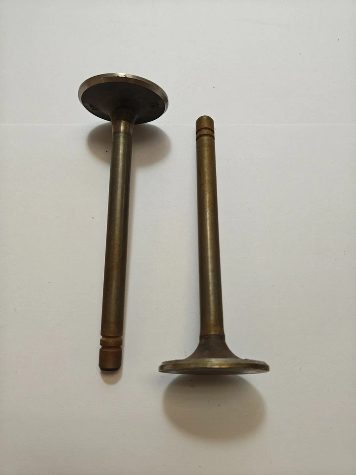 Dodge Coronet Royal Meadowbrook 1953-1954 válvula de admisión de 8 cilindros NOS 1328795. Foto 4 de 4