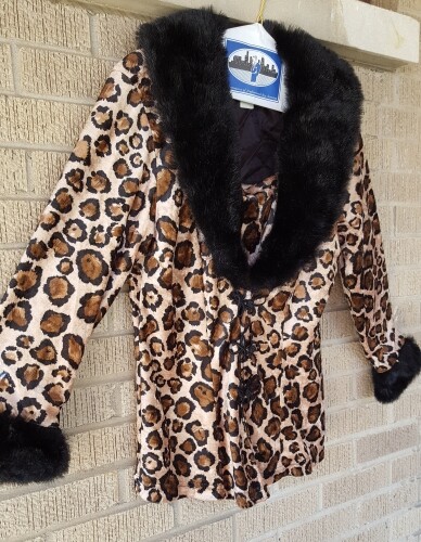 SExy CHeetah Leopard San Julian USA Los 