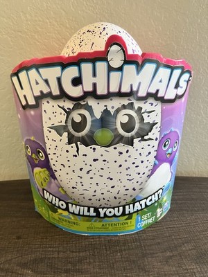 Hatchimals Mystery Egg Toy Pengualas or Draggles Spin Master Rare NIB New Sealed