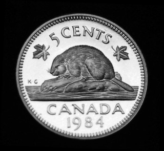 1984 5¢ proof coin from the set gorgeous coin