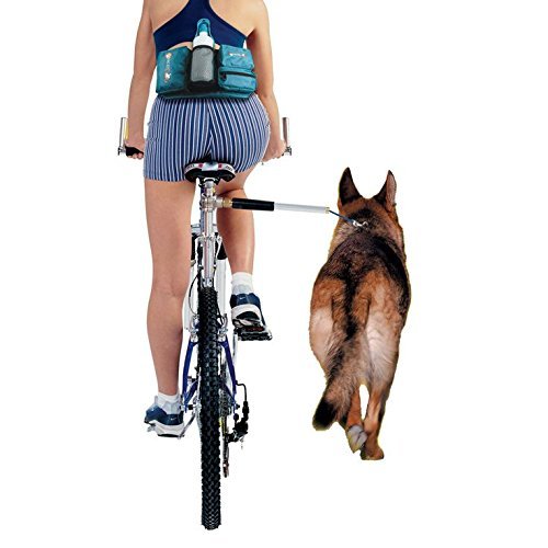 walky dog bike leash