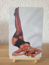 Anna Nicole Smith Blechschild --- 30 x 20 cm ...