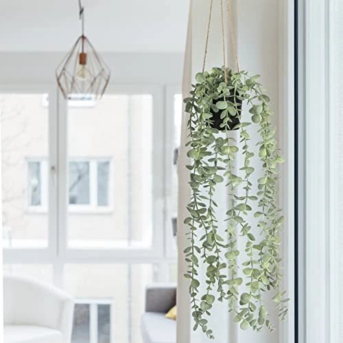 Fake hanging cheap plants indoor
