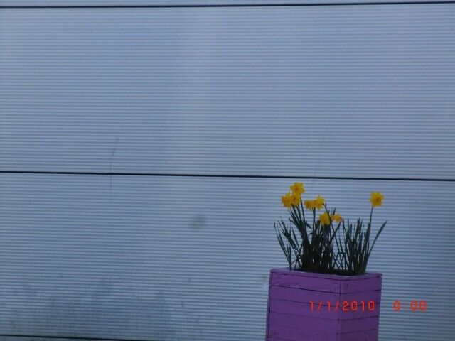 Bild 11 von 12
