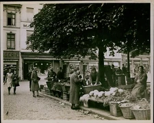 GA17 Original Photo GHENT BELGIUM Open Market Place Street Vendors Flowers Herbs
