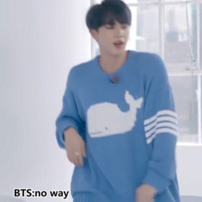 JIN Whale Sweater Long Sleeve Pullovers Top blue Knitwear Sweater