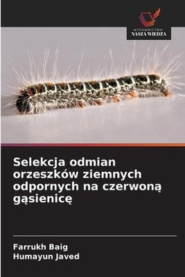 Selekcja odmian orzeszkw ziemnych odpornych na czerwon gsienic by Farrukh Baig (