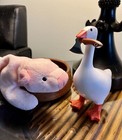 Foto 12 di 12
