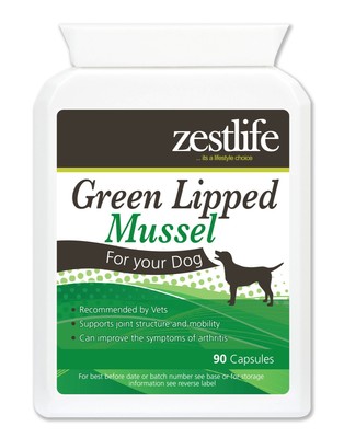 best green lipped mussel supplement for dogs