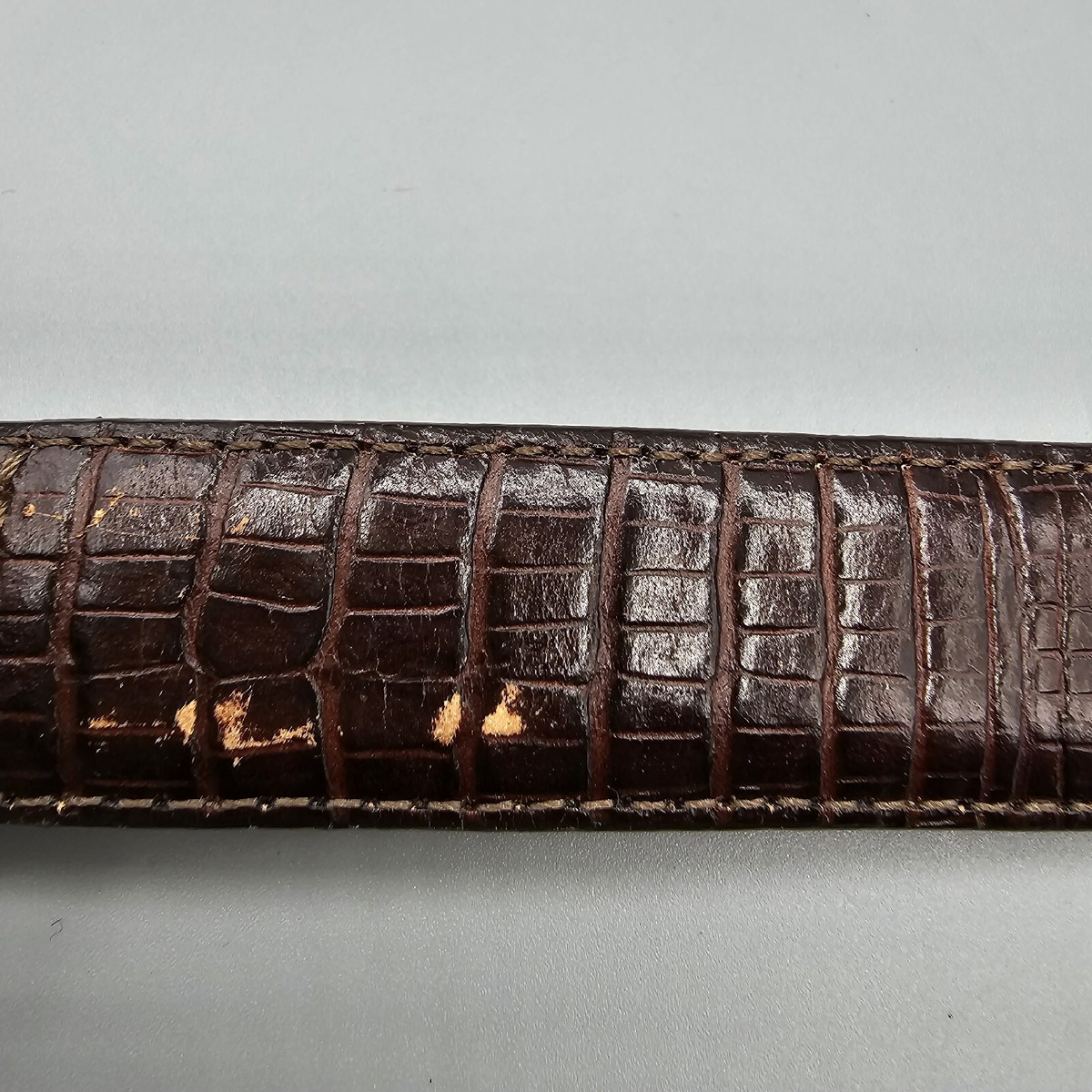 Brighton Museum Collection Womens Belt Sz M Pegasus Coin 