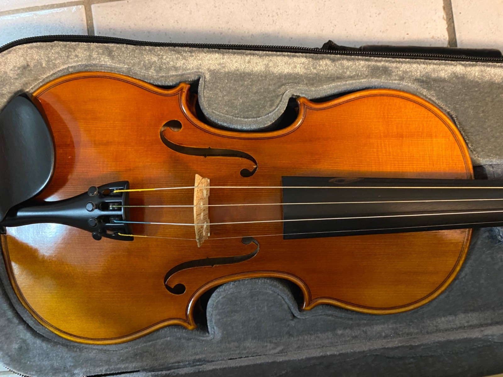 Violon révisé sans fausses notes idéal pour surmonter les difficultés d'apprentissage des débutants