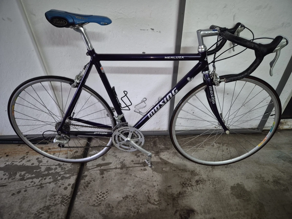 bianchi rennrder Bianchi Rekord 748  Der ReCyclist