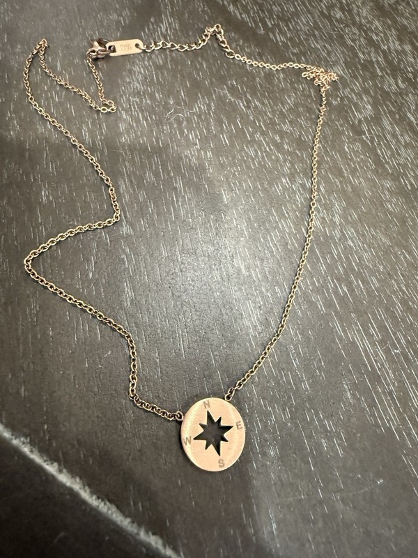 18K Rose Gold Compass Necklace 18” Chain