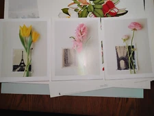 Set of 3 Fine Art Floral Flowers Prints (NO FADING) 9x11"