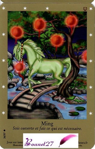 CARTE CARD Cheval Horse " BELLA SARA " EDITION DE BASE N° AUX CHOIX - Imagen 33 de 88
