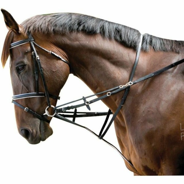 Blenheim German Martingale With bing Reins Black Full for sale online eBay