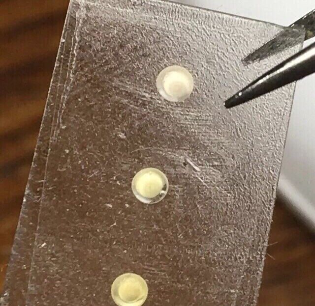 Rolex 5513 / 5512 / 1680 Pearl/Pip (no lume) | eBay Rolex 5513 / 5512 / 1680 Pearl/Pip (no lume) | eBay
