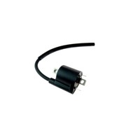 ZüNdspule Passend FüR Yamaha YW 125 BWS Bj. 2010-2015