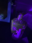 Picture 11 of 11
