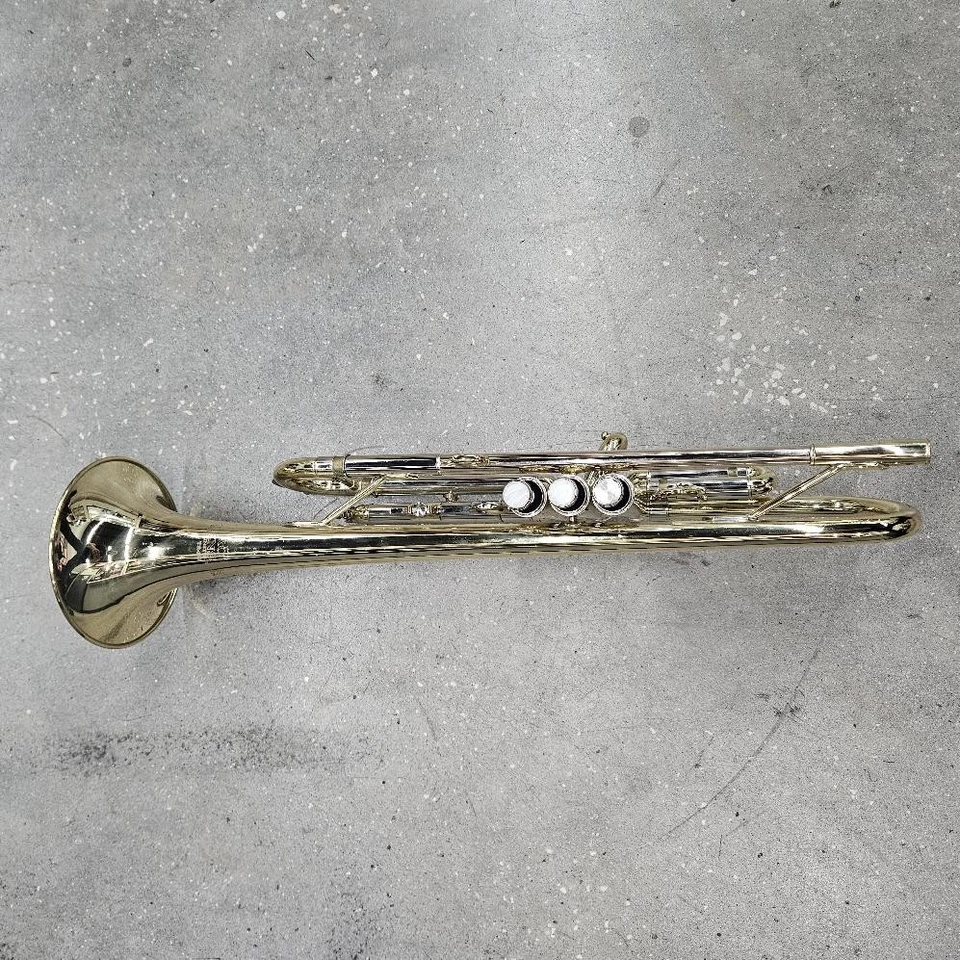 Trompeta Roy Benson Bb TR-202 Latón Amarillo con Estuche y Boquilla 5c y 7c Foto 2 de 4