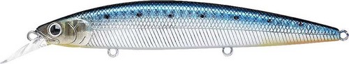 Lucky Craft SW Surf Pointer 115 - 115mm - 22g - Sinking - Picture 6 of 19