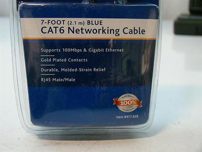 Ativa Cat 6 Ethernet Cable 100ft Blue - High Speed Network Cable For Gaming & Streaming