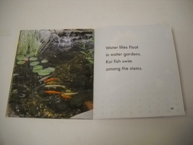 Picture 10 of 12