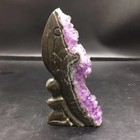 Picture 4 of 18