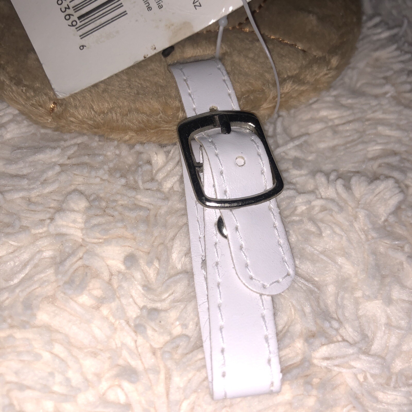 Picture 5 of 10