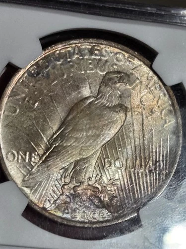 1923 $1 Peace Dollar NGC MS63 Toned