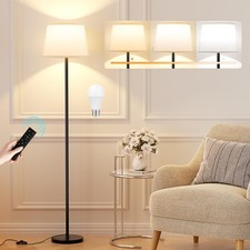 Modern Floor Lamp with Adjustable Brightness, Remote Control, Black, LED Bulbs,