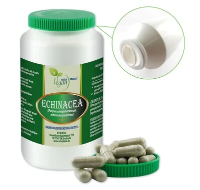 VITA IDEAL Vegan® ECHINACEA - Wurzel KAPSELN - Purpur - SONNENHUTWURZEL - Pulver