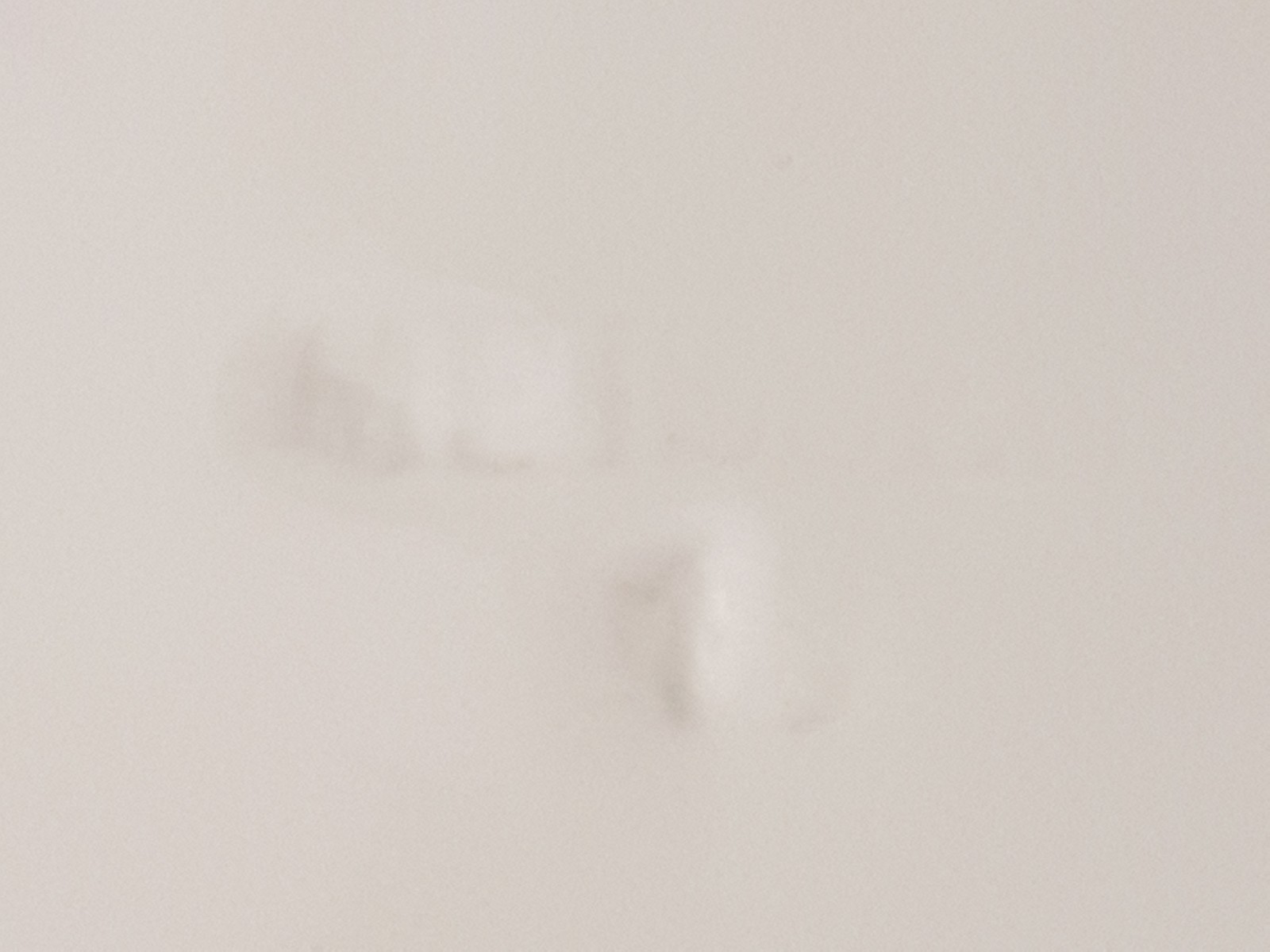 Picture 9 of 12