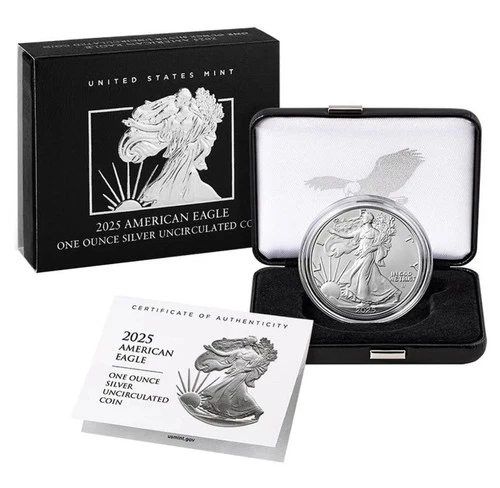 2025-W Burnished American Silver Eagle - w/ OGP
