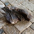 Bild 9 von 14