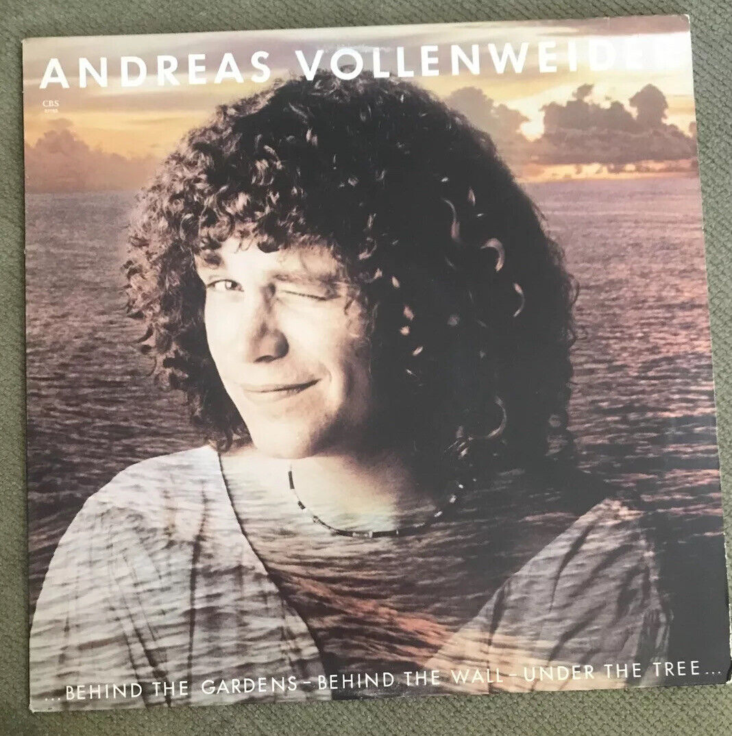 Andreas Vollenweider Behind The Gardens Vinyl LP FM37793 - Tested G+