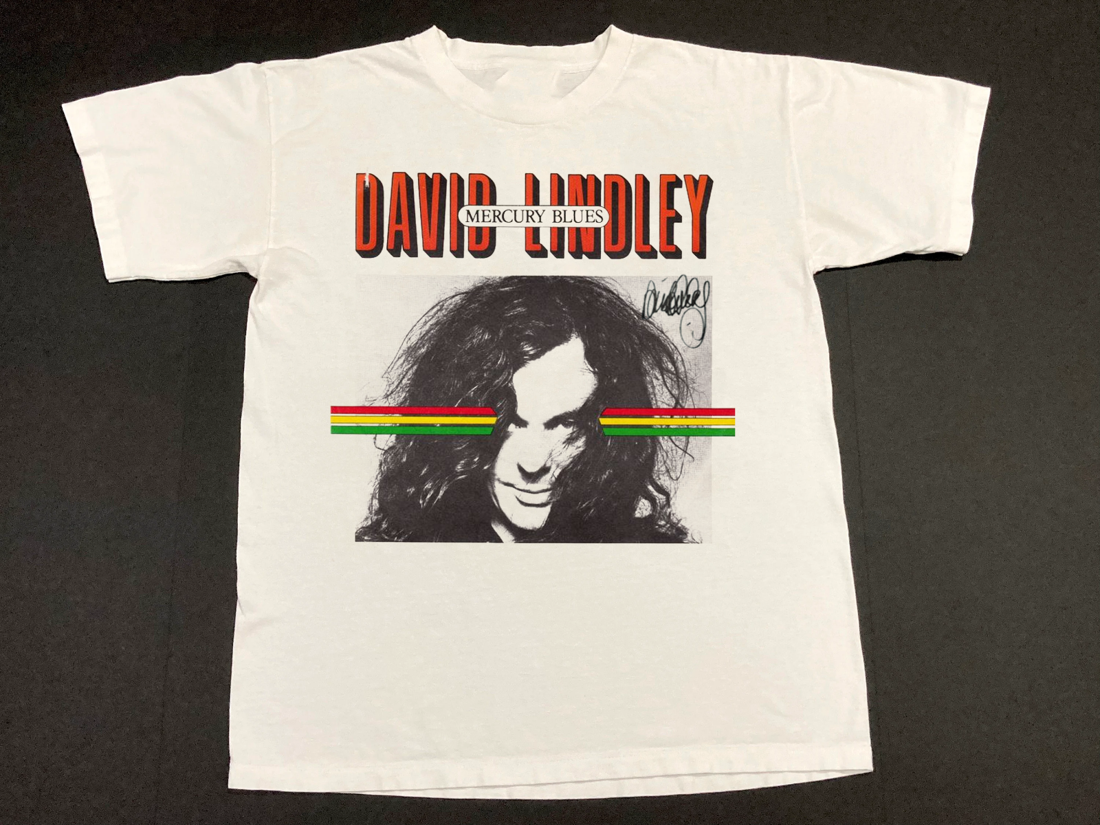 David Lindley Tシャツ 1981 DAVID LINDLEY Vintage Rare 80's El-rayo X Concert Tour