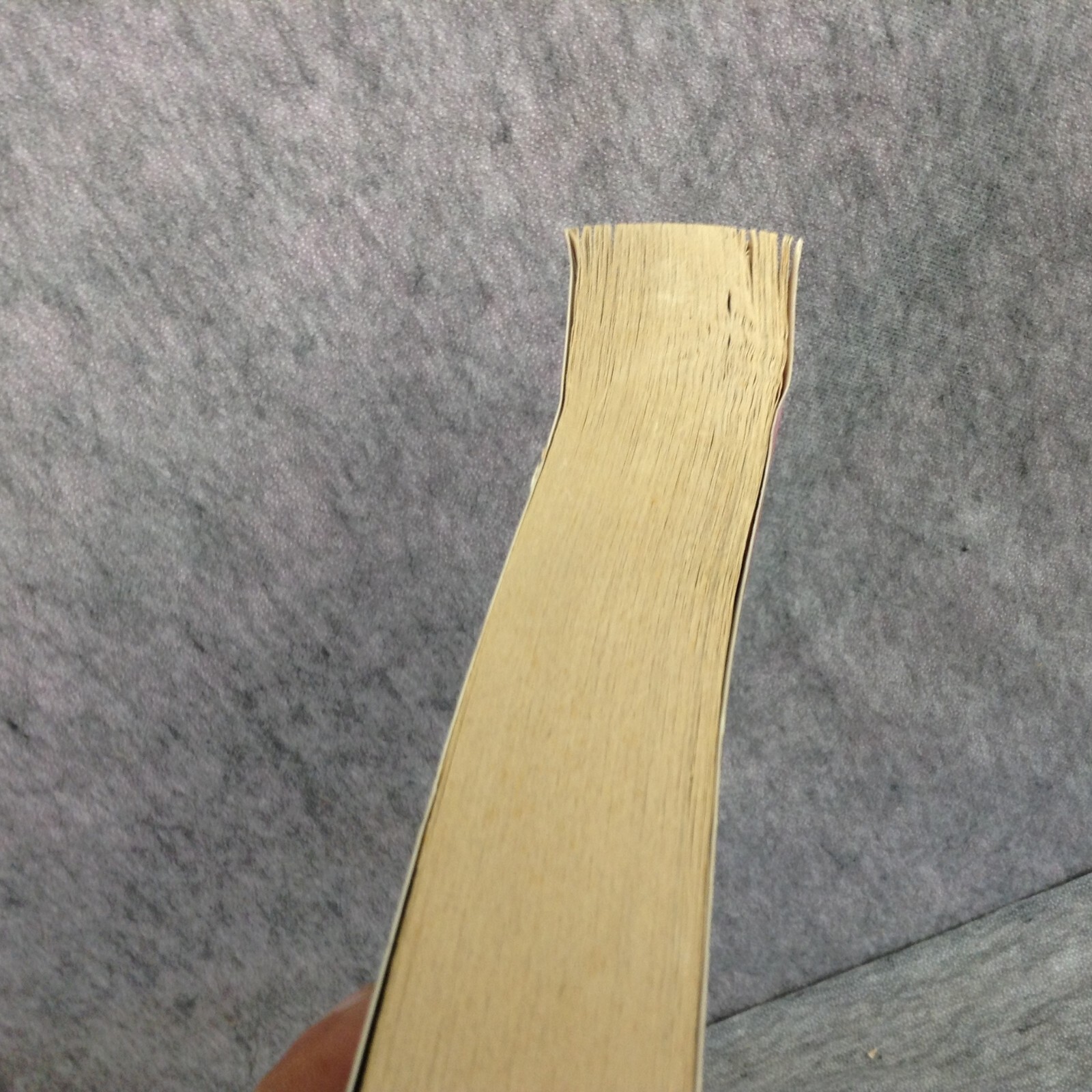 Picture 5 of 12