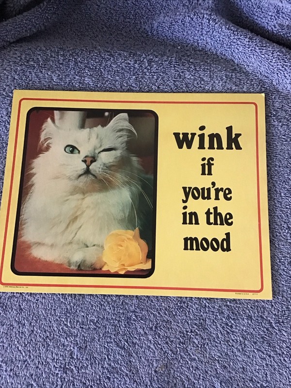Vtg Cat  Poster Card Winking Cat “Wink If You Are In The Mood” Funny Sexy