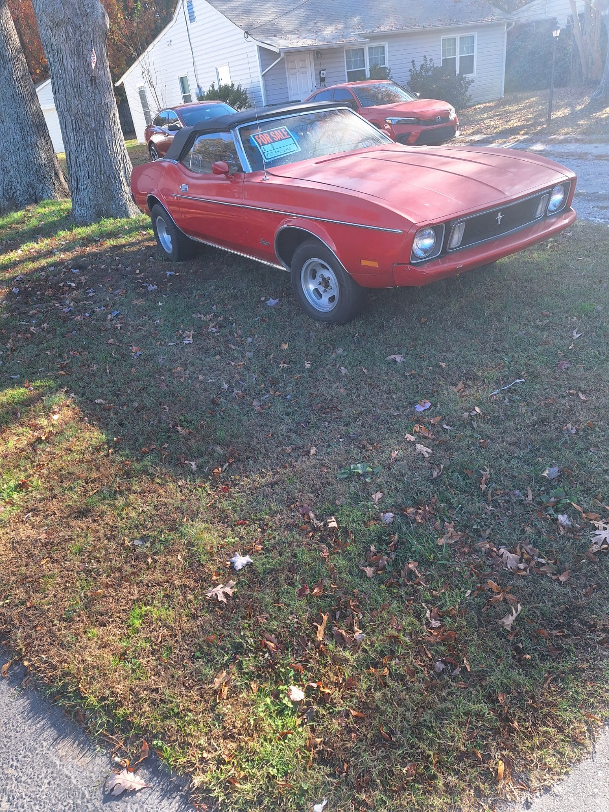 Picture 19 of 22