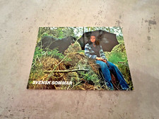 Svensk Sommar Black Labrador Dog Swedish Postcard