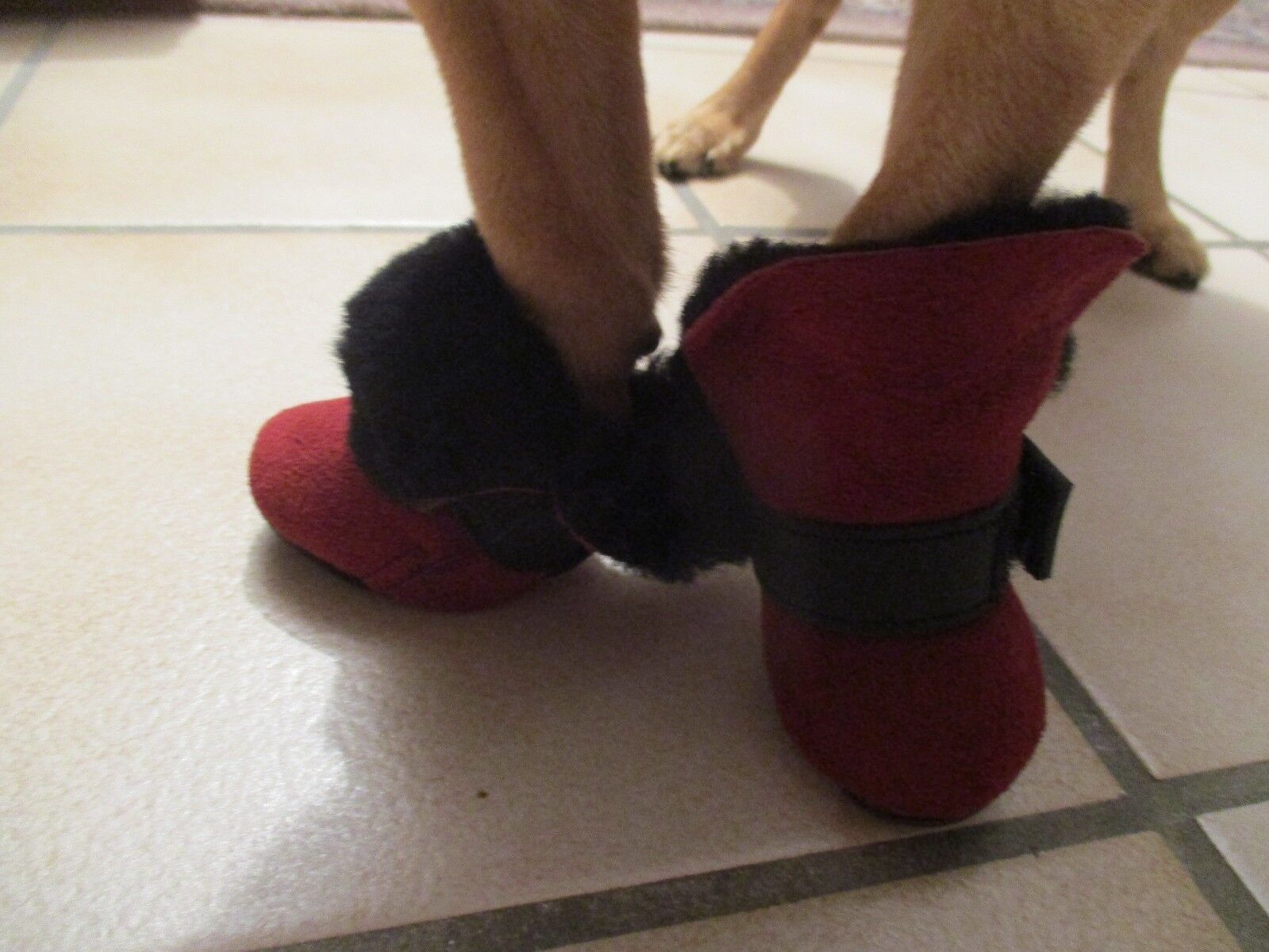 Bild 9 von 12