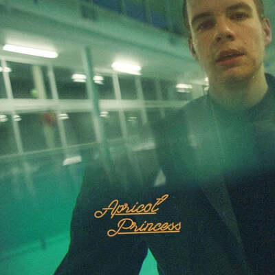 Rex Orange County Apricot Princess | Orange Vinyl New Sealed
