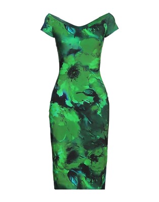NWT Chiara Boni Sally Dress 6 Winter Roses Green MSRP$695 | eBay
