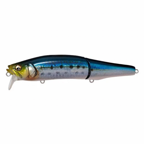 Megabass Seabass Lure Gorham 147F SW FA Sardine